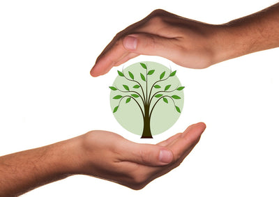 Eco-Friendly Gifts
