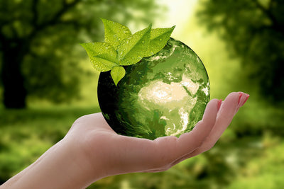 Sustainable Gifts