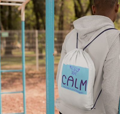 Sensory CALM Bag