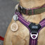 Wooden Dog Name Tag