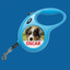 Retractable Dog Lead