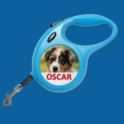 Retractable Dog Lead
