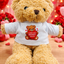 Be My Valentine Soft Toy – Choice of Cuddly Monkey or Teddy