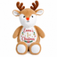 Personalised Christmas Reindeer Plush Toy